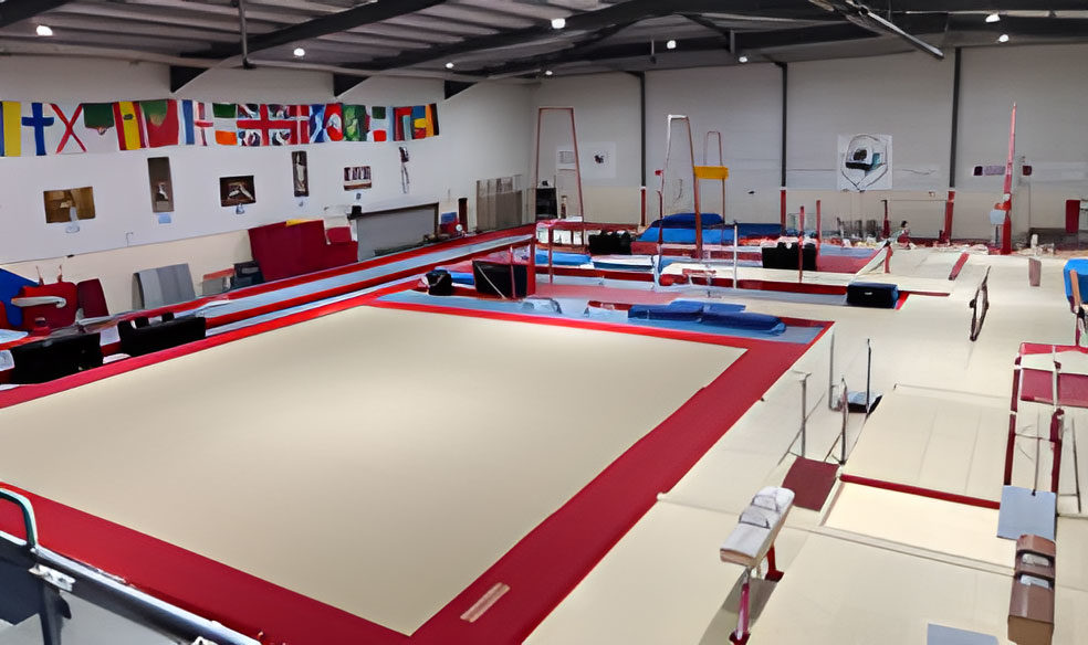 Organisation Image (Pipers Vale Gymnastics: Main Gym 2024)