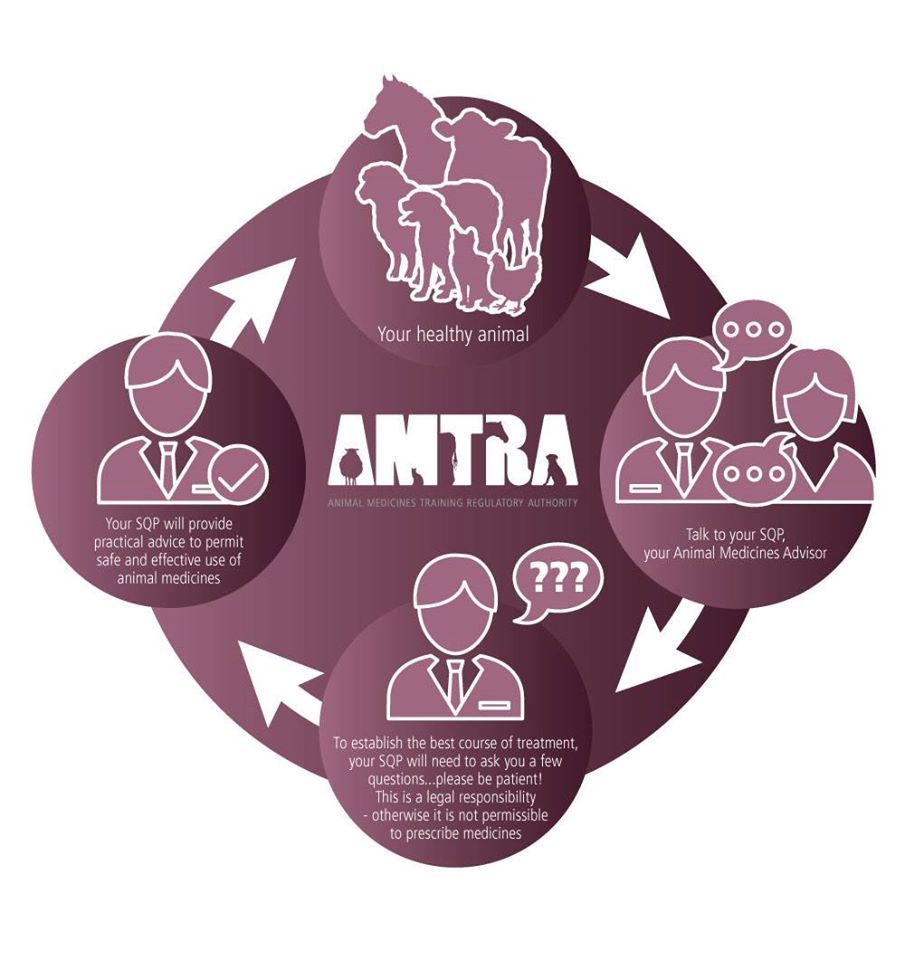 Organisation Image (AMTRA: SQP Process)