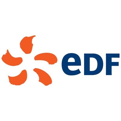 Organisation Logo (EDF)