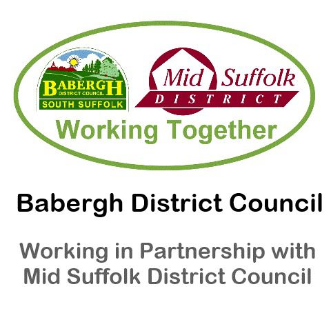 Organisation Logo (Babergh District Council)