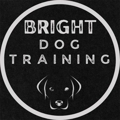 Bright Dog Training (Company Logo)