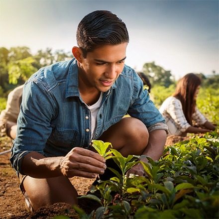 green futures (page image - adult person)