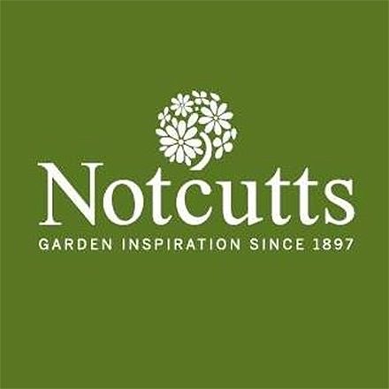 Company Logo (Notcutts)