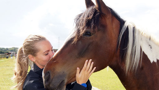 Organisation Image (Redwings Horse Sanctuary: Carer with horse)
