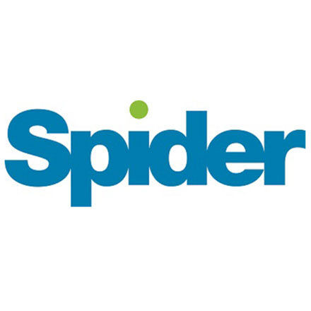 Organisation Logo (Spider Web Recruitment)