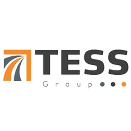 Company Logo (The Tess Group)
