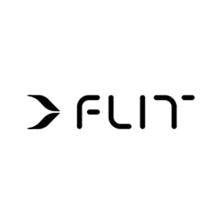 FLIT (Company Logo)