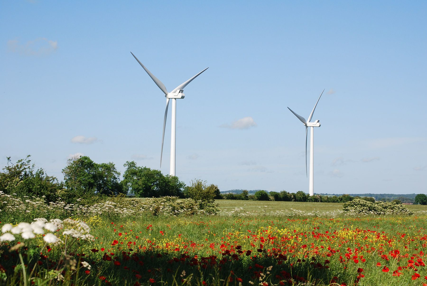 Renewable (Sector Header: Wind Turbines)