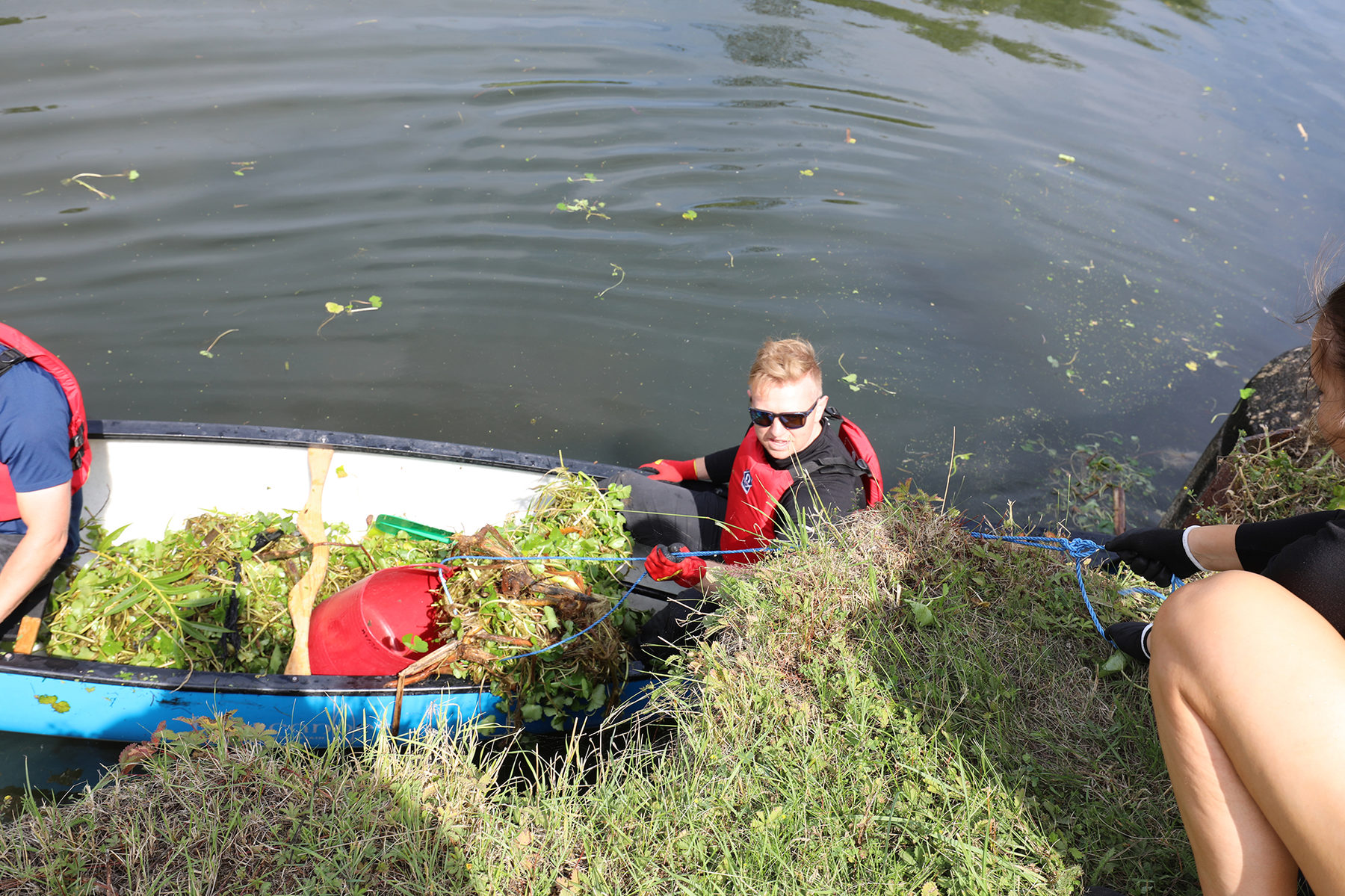 Clearing invasive plants in canoes