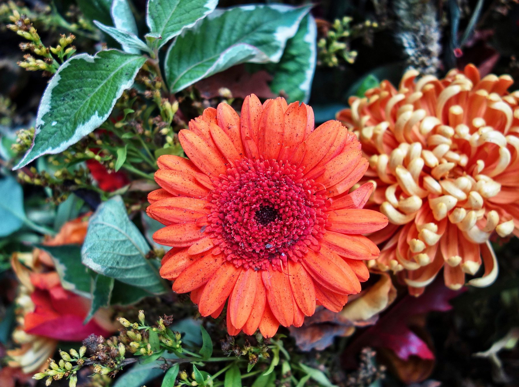 Sector Image (Funeral Services: Flowers)